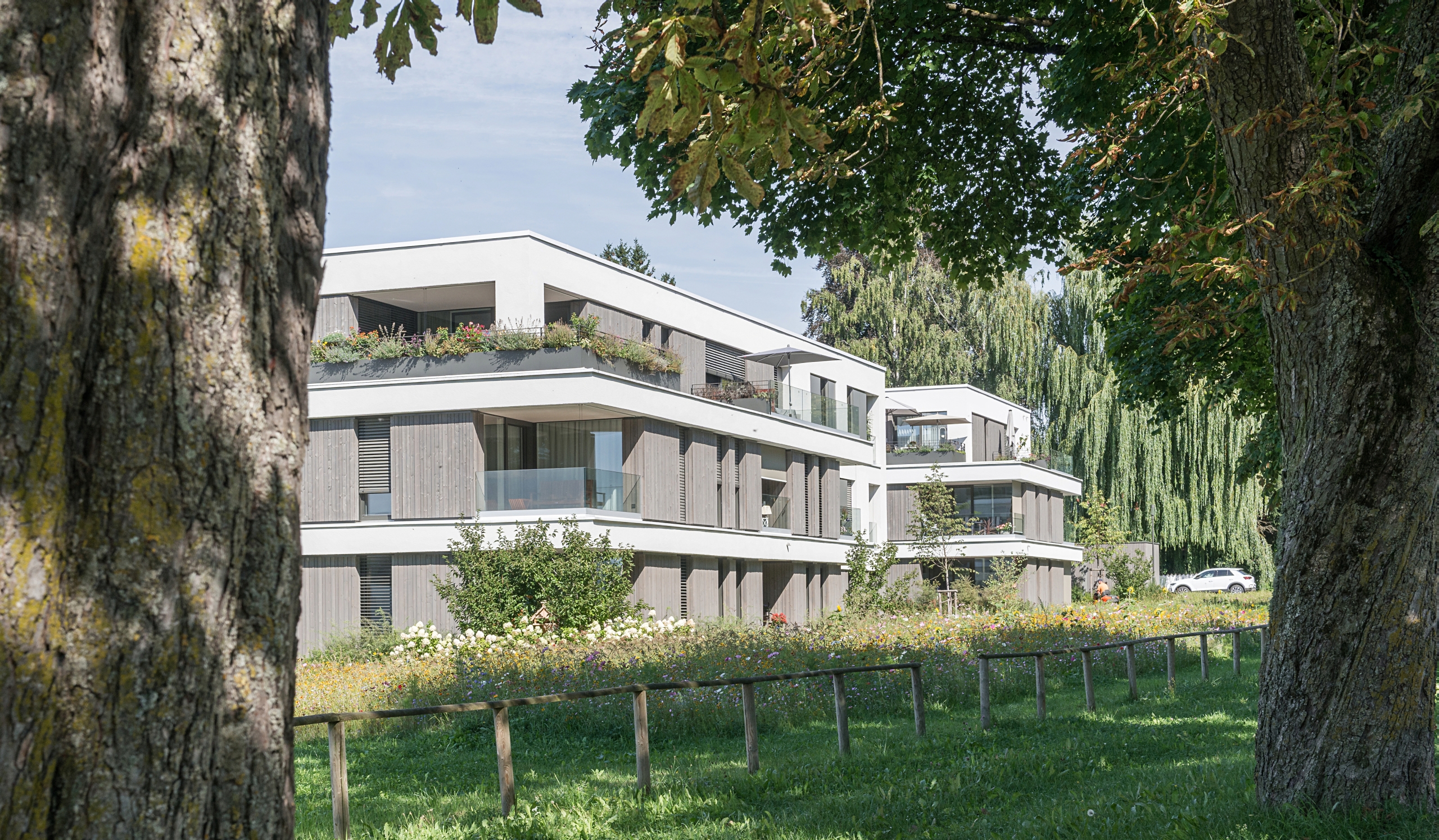 Bild 1 Seniorenwohnen in Weissenhorn umgeben von Blumenwiese und Baeumen