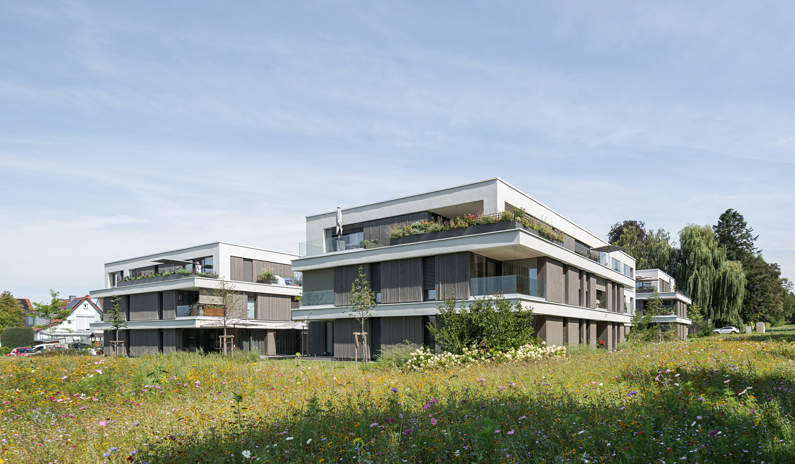 Bild 2 Seniorenwohnen in Weissenhorn freistehende Baukoerper mit Ausblick auf Blumenwiese