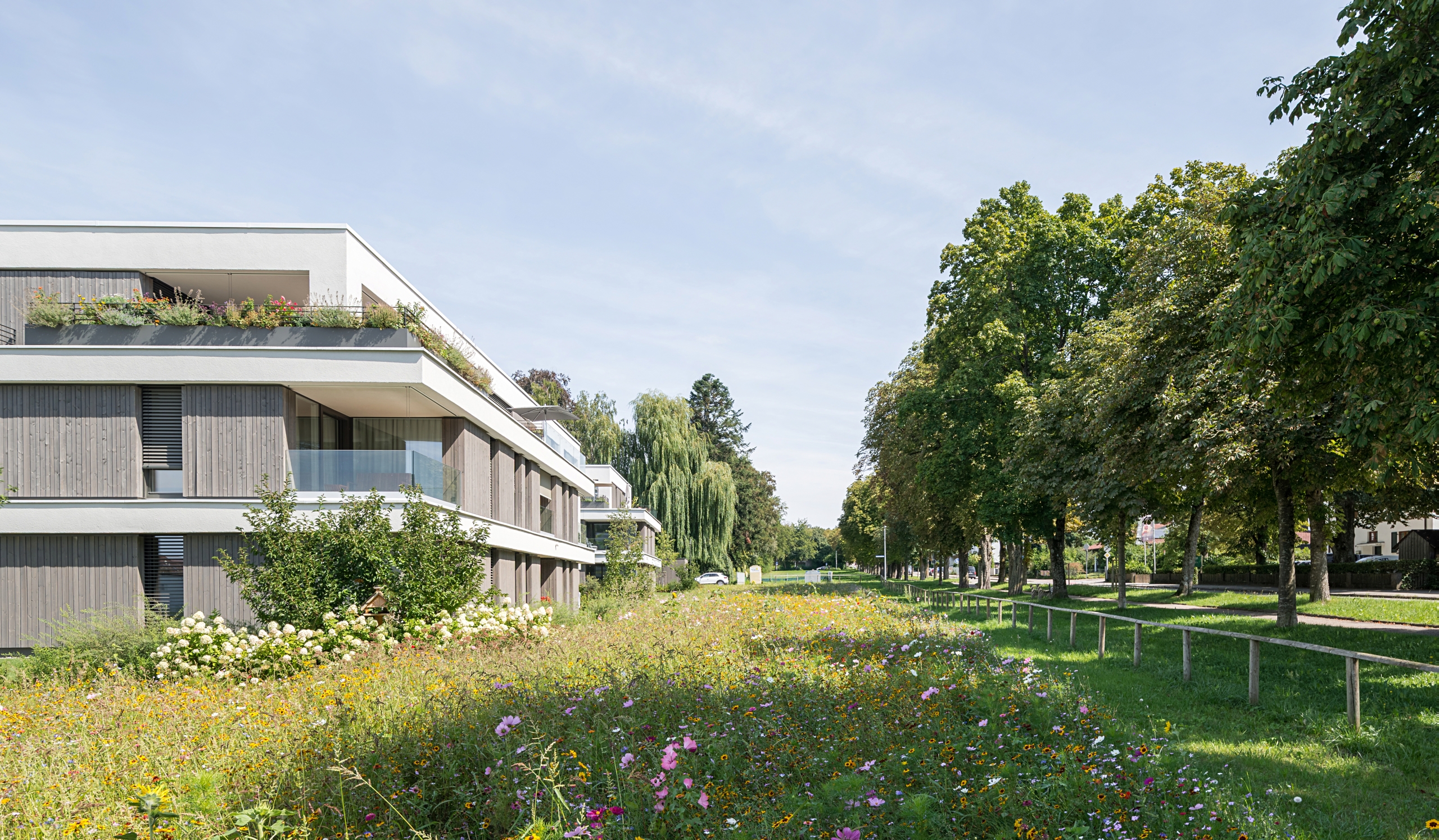 Bild 3 Seniorenwohnen in Weissenhorn Wohnen im Gruenen auf der Hasenwiese