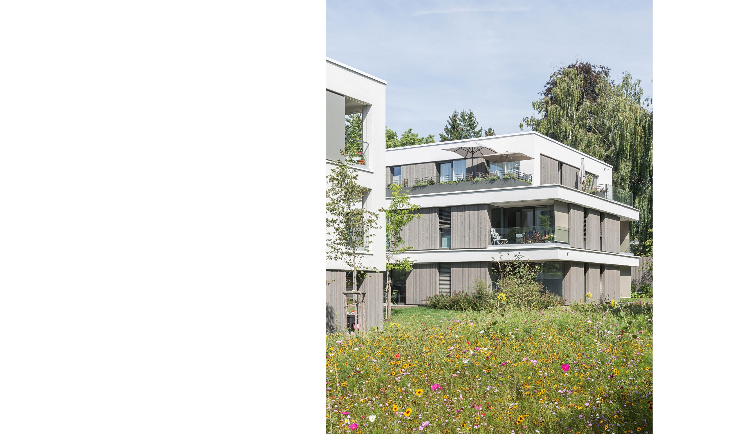 Bild 5 Seniorenwohnen in Weissenhorn auf der Hasenwiese Blick auf Blumenwiese