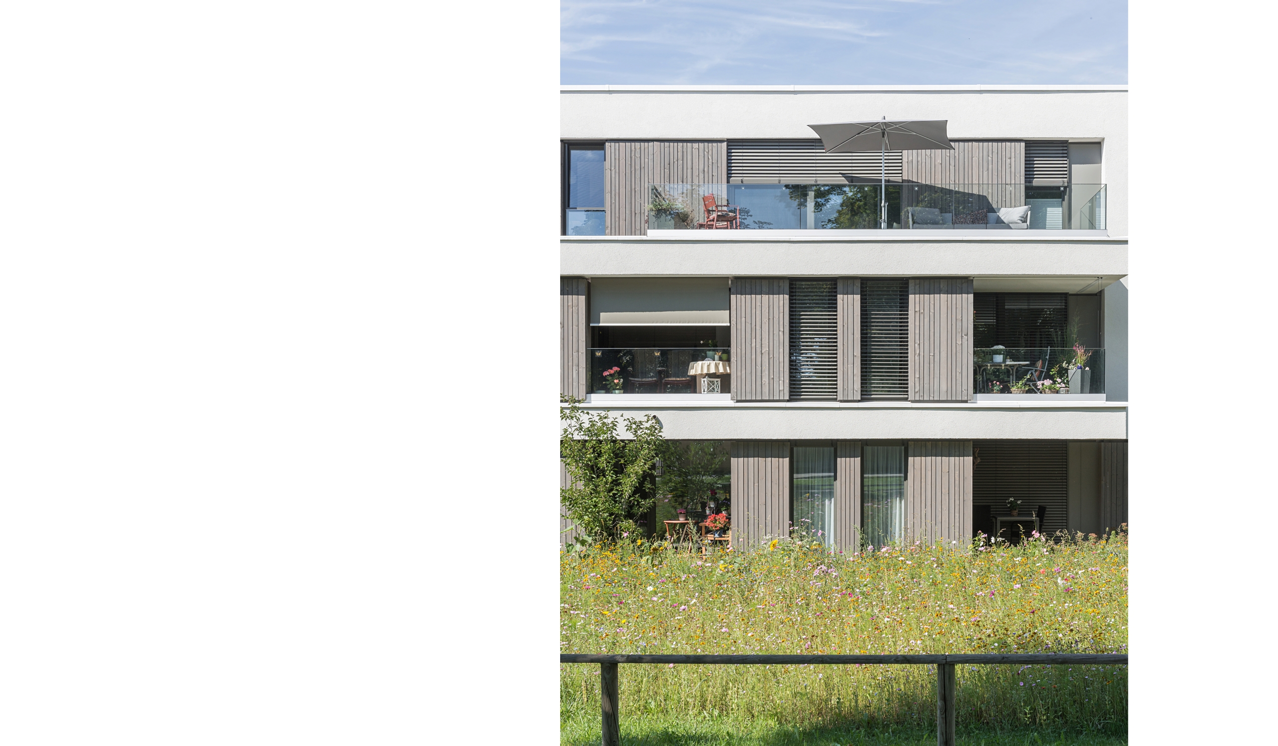 Bild 6 Seniorenwohnen in Weissenhorn Ansicht mit raumhoher Verglasung und Holzlamellen Loggien und Dachterrasse